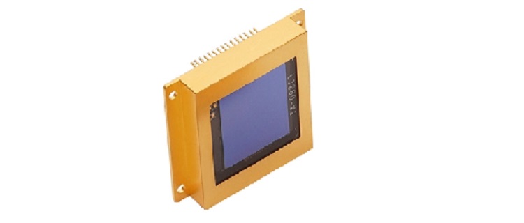 Shortwave Infrared Detectors and Their Development in the International Market